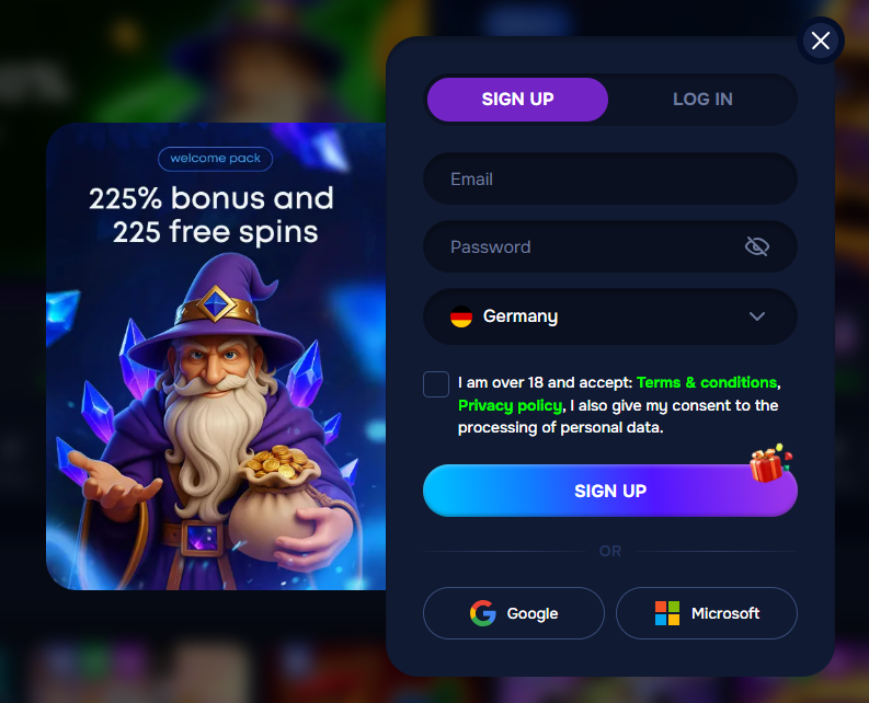 Registration process at Wizardo